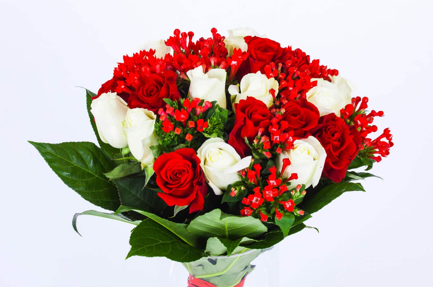 Зимняя тайна — изображение 2